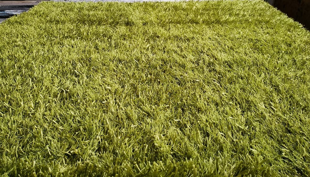 Kusový koberec Shaggy Lilou green 93100