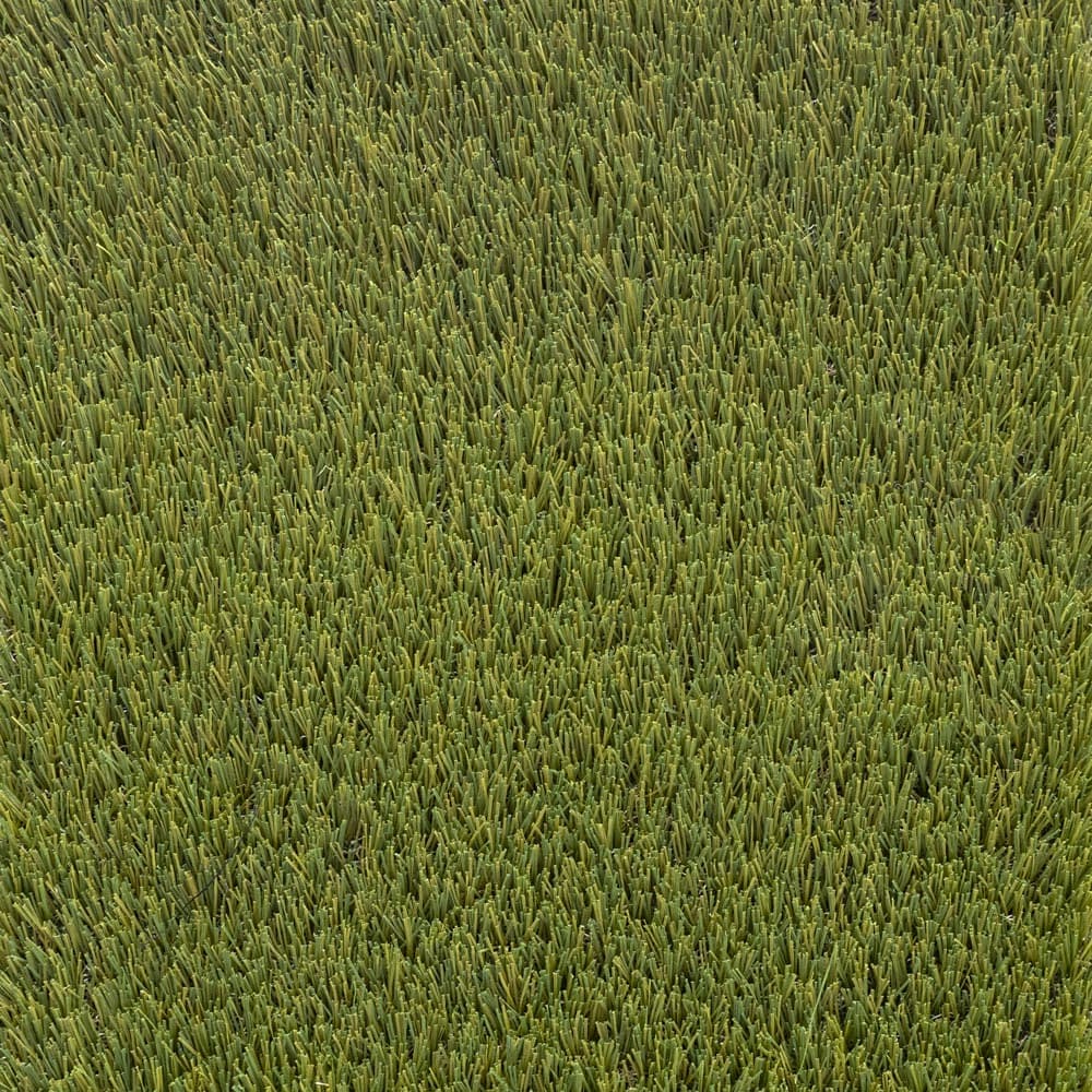 Umělá tráva PANORAMA 200 cm 2