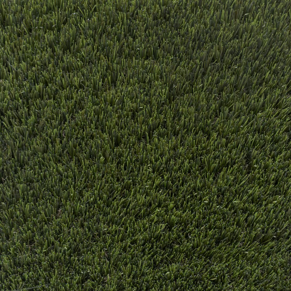 Umělá tráva DUNE 200 cm 2