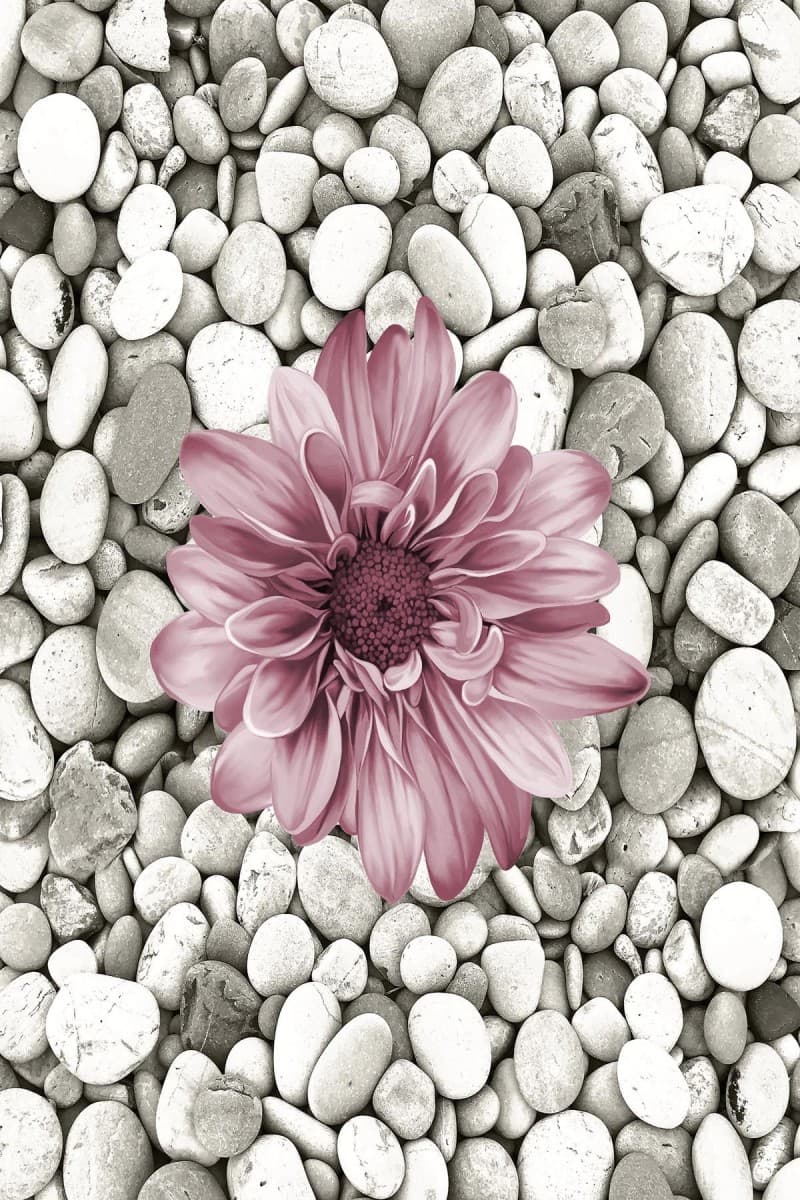 Koberec Bloom šedý/růžový
