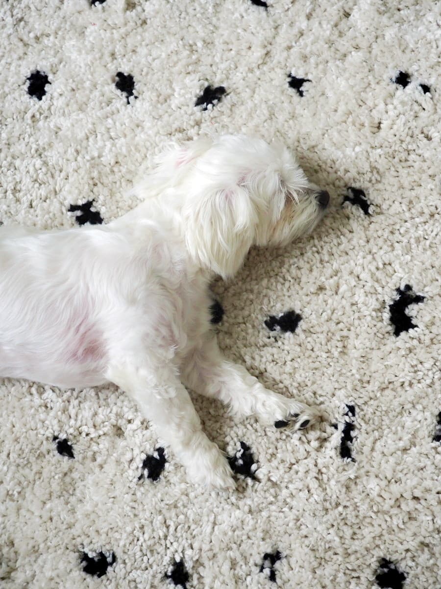 Kusový koberec Berber Syla B752 dots cream kruh 3