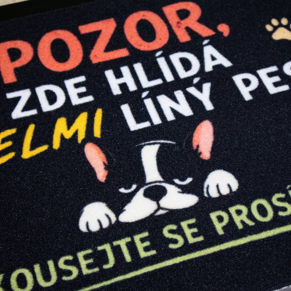 Rohožka Líný pes - na ven i na doma 4
